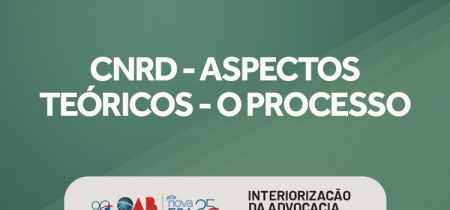 CNRD – Aspectos Teóricos – O Processo