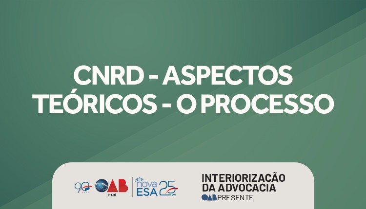 CNRD – Aspectos Teóricos – O Processo